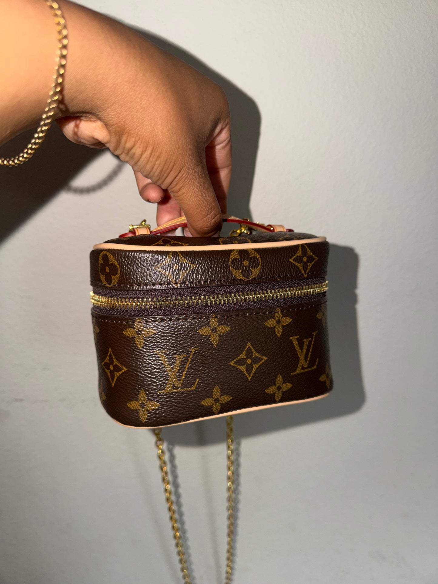 Luxury Nano Vanity Bag