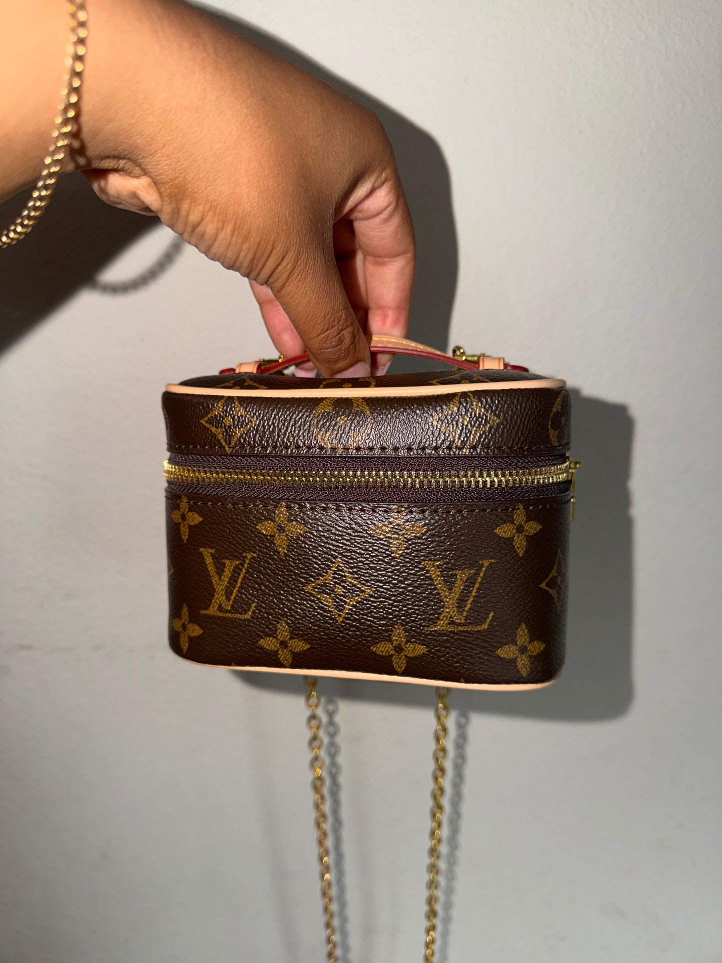 Luxury Nano Vanity Bag