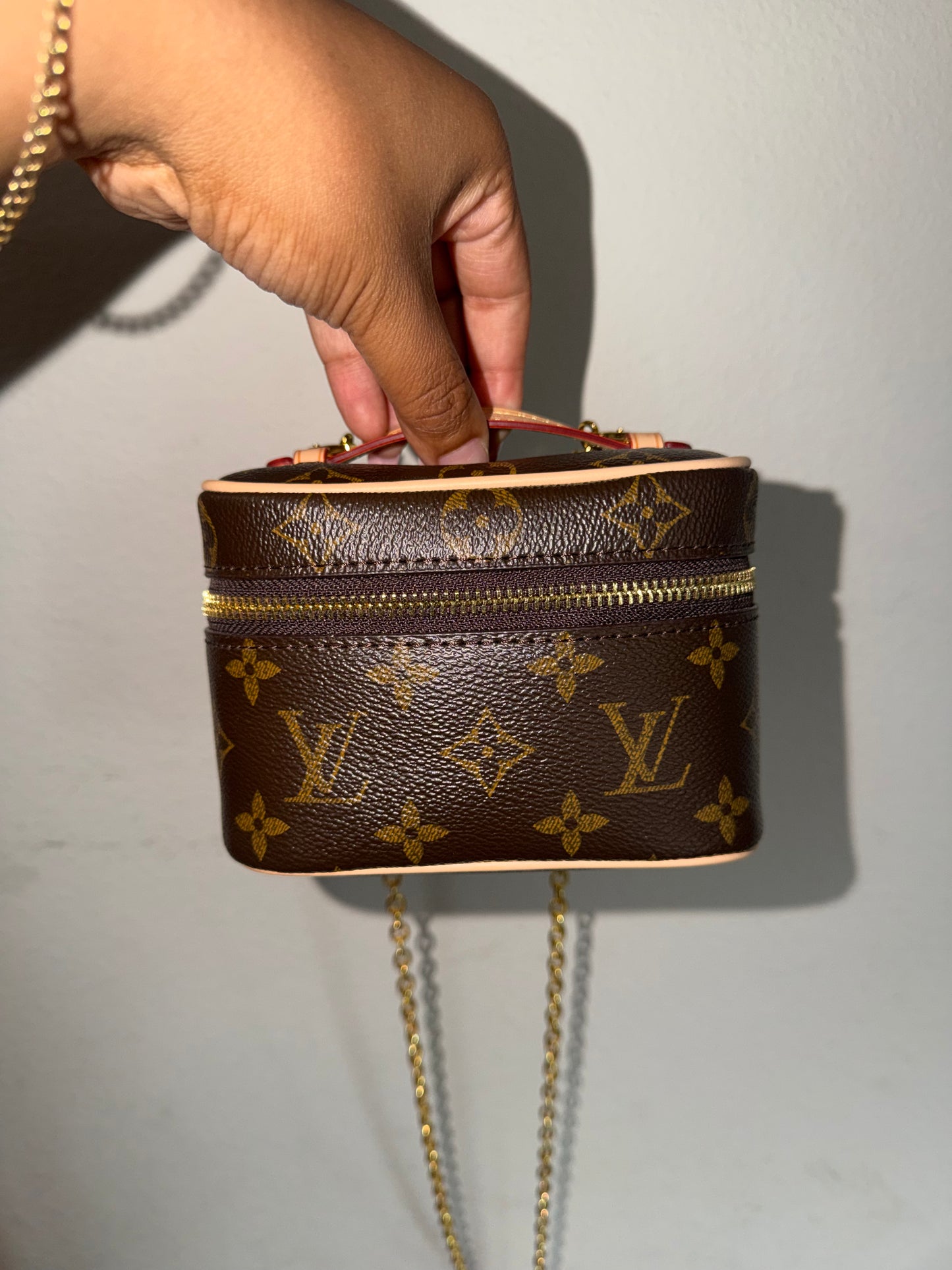 Luxury Nano Vanity Bag